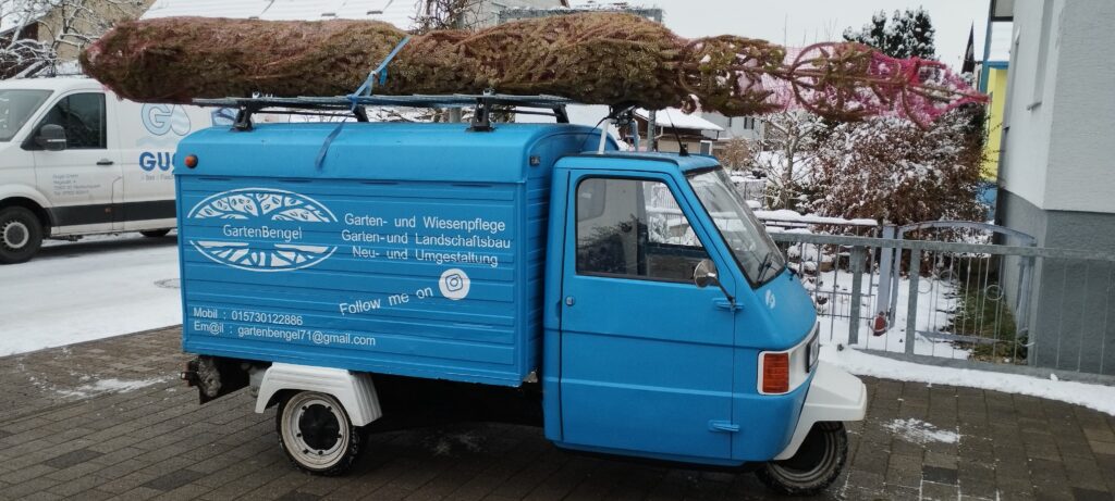 WeihnachtsbaumaufApe